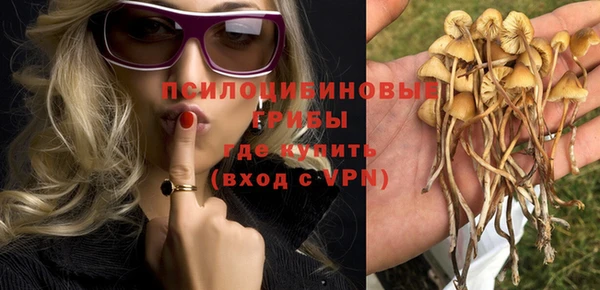 молекула духа Баксан